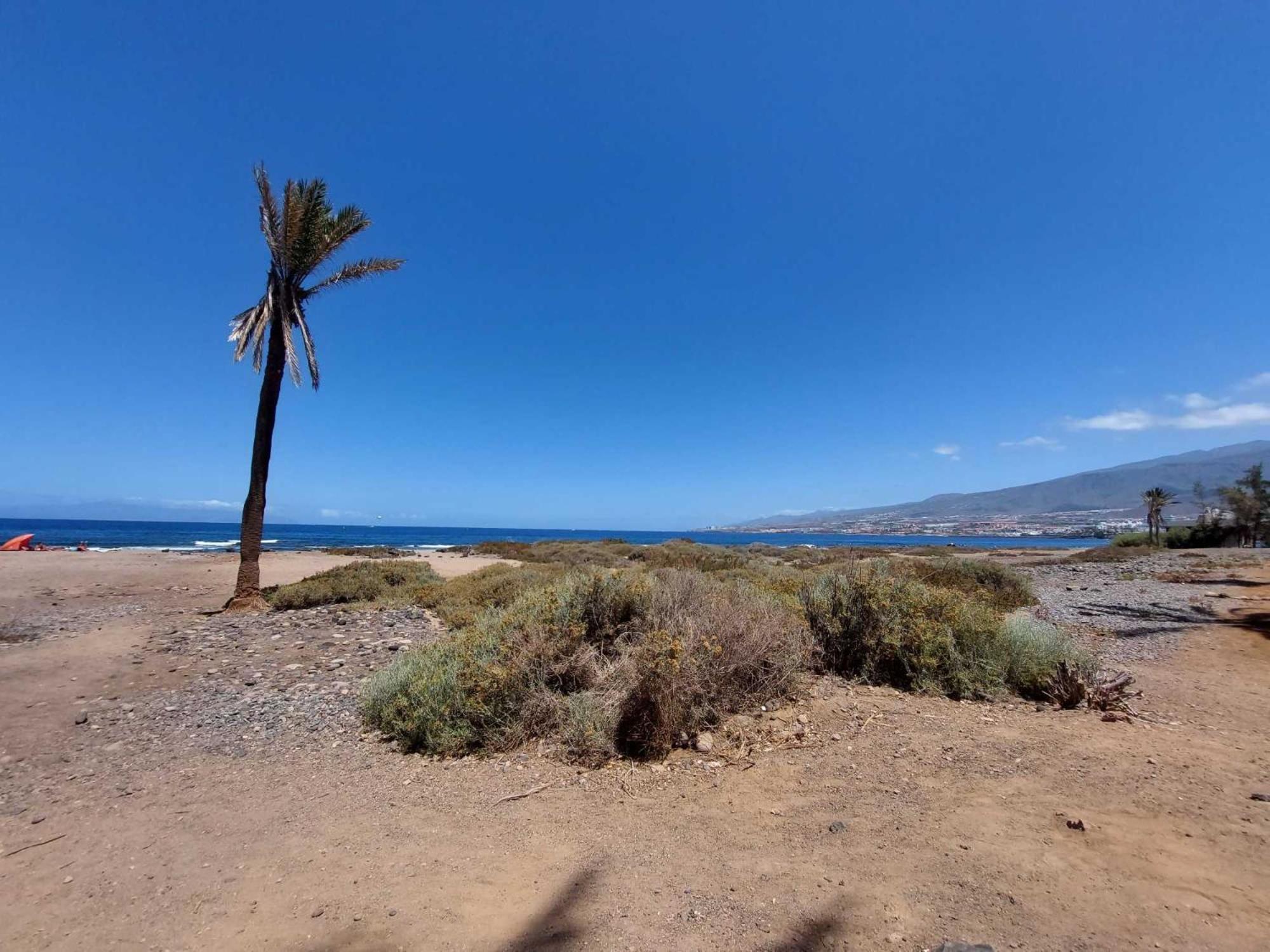 Apartment Con 1 Da Letto Con Vista Ov223 Costa Adeje (Tenerife)